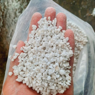 Đá Perlite (đá trân châu) giá thể trồng cây giúp thoát nước cực tốt (túi 200gr)
