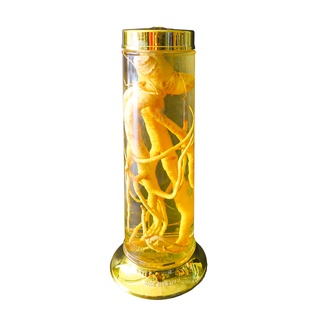 BÌNH NGÂM RƯỢU THỦY TINH TRỤ 3.8 LÍT