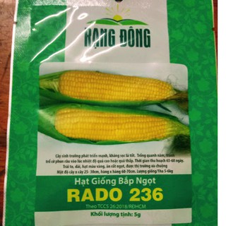 Hạt giống bắp mỹ ngọt lai F1 Rado 236 (2gr)