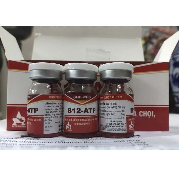 B12 ATP [hộp 10 lọ x 5ml] Tăng thể lực gà đá, ngựa đua.