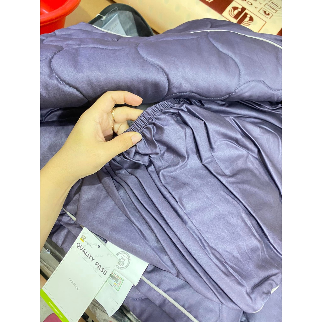 Bộ Drap chun chần EVERON MDSC089
