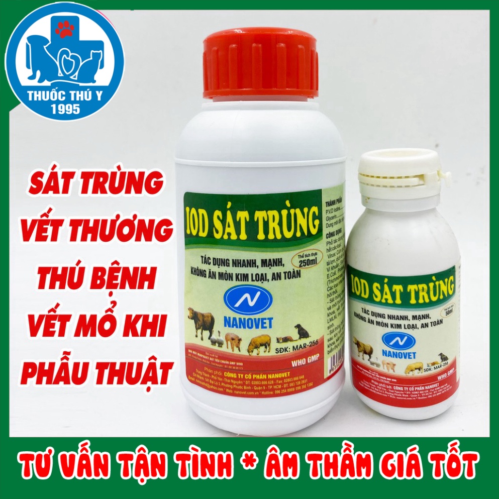 vệ sinh vết thương chó, mèo, thú bệnh, thú cảnh