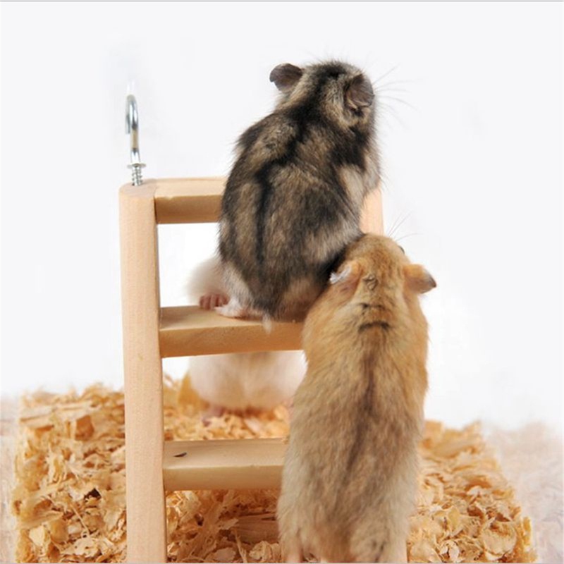 Đồ chơi thang leo có móc treo làm từ gỗ sáng tạo cho chuột hamster/sóc/chuột hamster