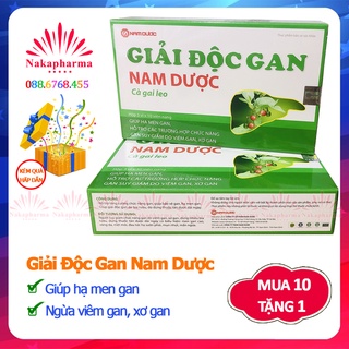 [10 TẶNG 1] Giải Độc Gan Nam Dược Cà Gai Leo – Giúp hạ men gan, bảo vệ gan, ngừa viêm gan xơ gan, giảm mụn nhọt mẩn ngứa