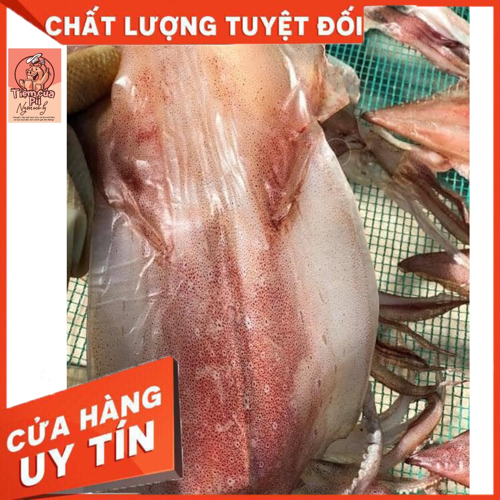 [ MỰC BIỂN BÌNH MINH LOẠI 1] SIÊU NGON, NGỌT, CHÍNH GỐC NHÀ LÀM ( Kèm Ảnh Quy Trình Sản Xuất) | BigBuy360 - bigbuy360.vn