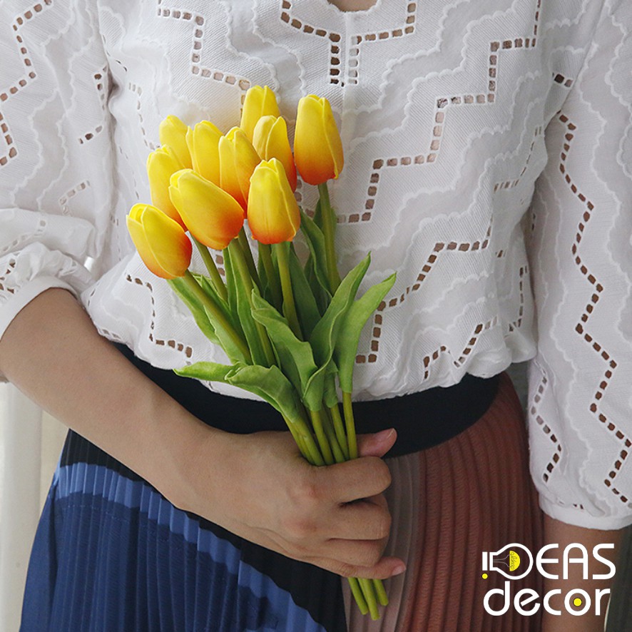 Hoa tulip - Trang trí lọ hoa, cây cảnh, trang trí nhà cửa, home decor - Ideasdecor