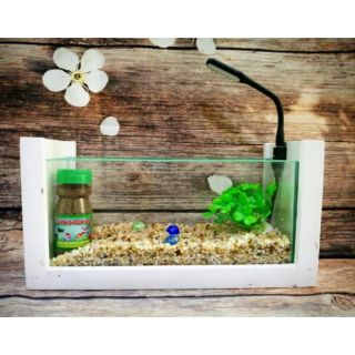 Bể cá mini khung gỗ có đèn kính mài vi tính ( khung màu trắng/đỏ/đen)