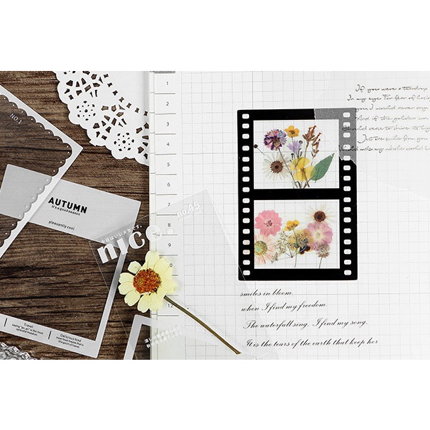 Sticker PET khung phim ảnh
