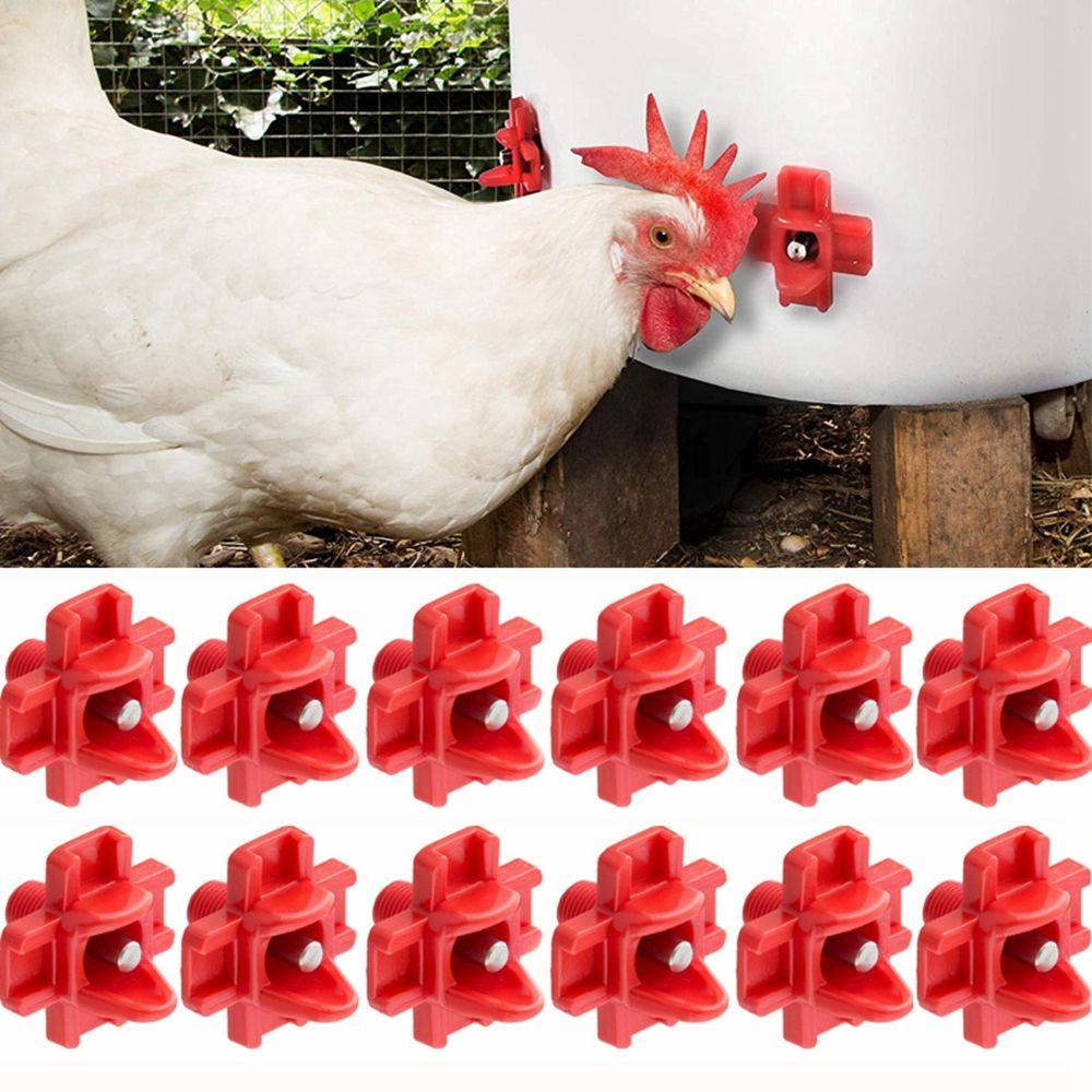 PRESTON Xô Đựng Nước Uống Tự Động Hình Chữ Thập Cho Gà / Vịt