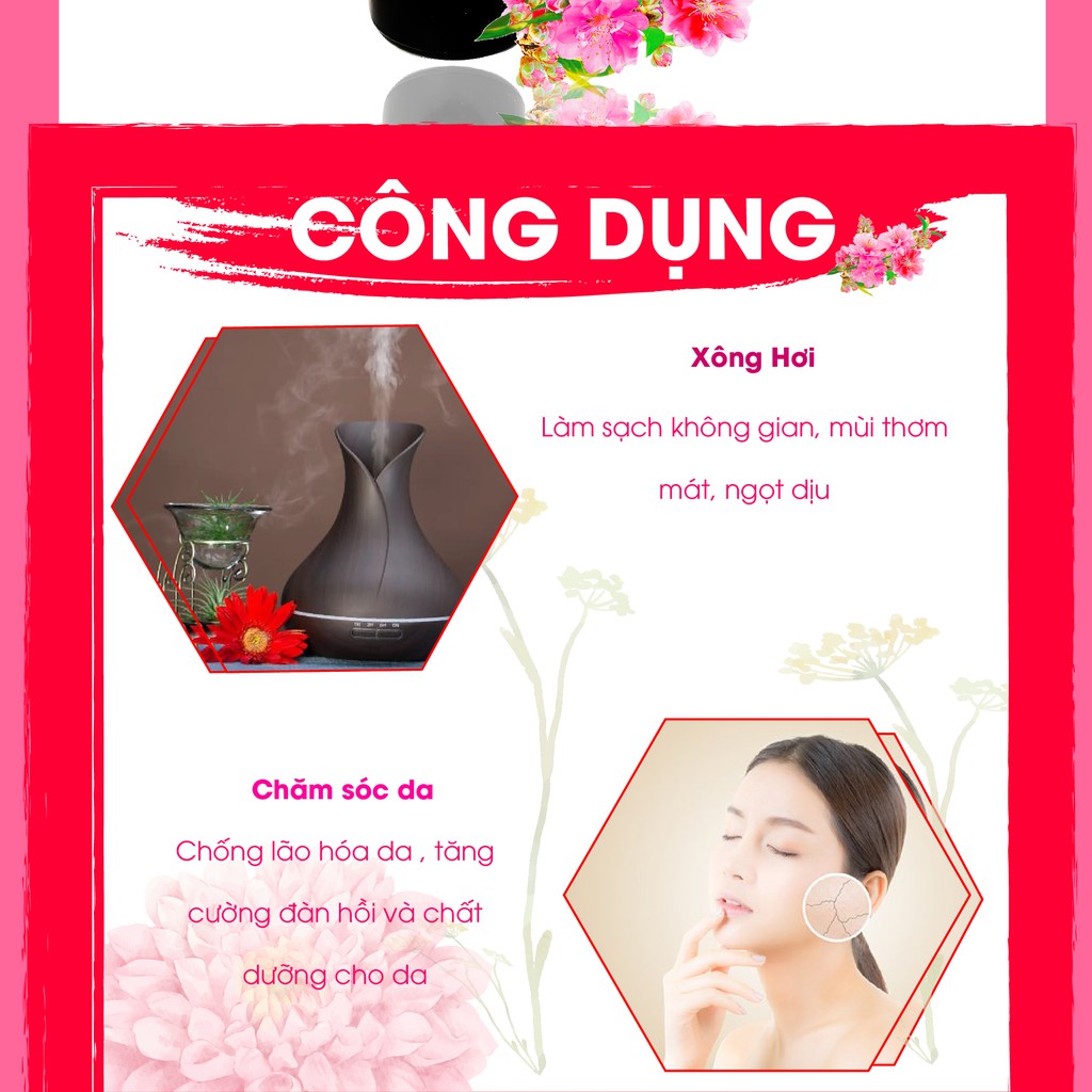 Tinh Dầu Hoa Anh Đào - Tinh chất 100% tự nhiên - Lọ 50 - 100ml