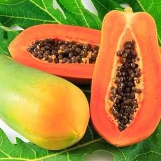 5 HẠT GIỐNG ĐU ĐỦ RUỘT ĐỎ