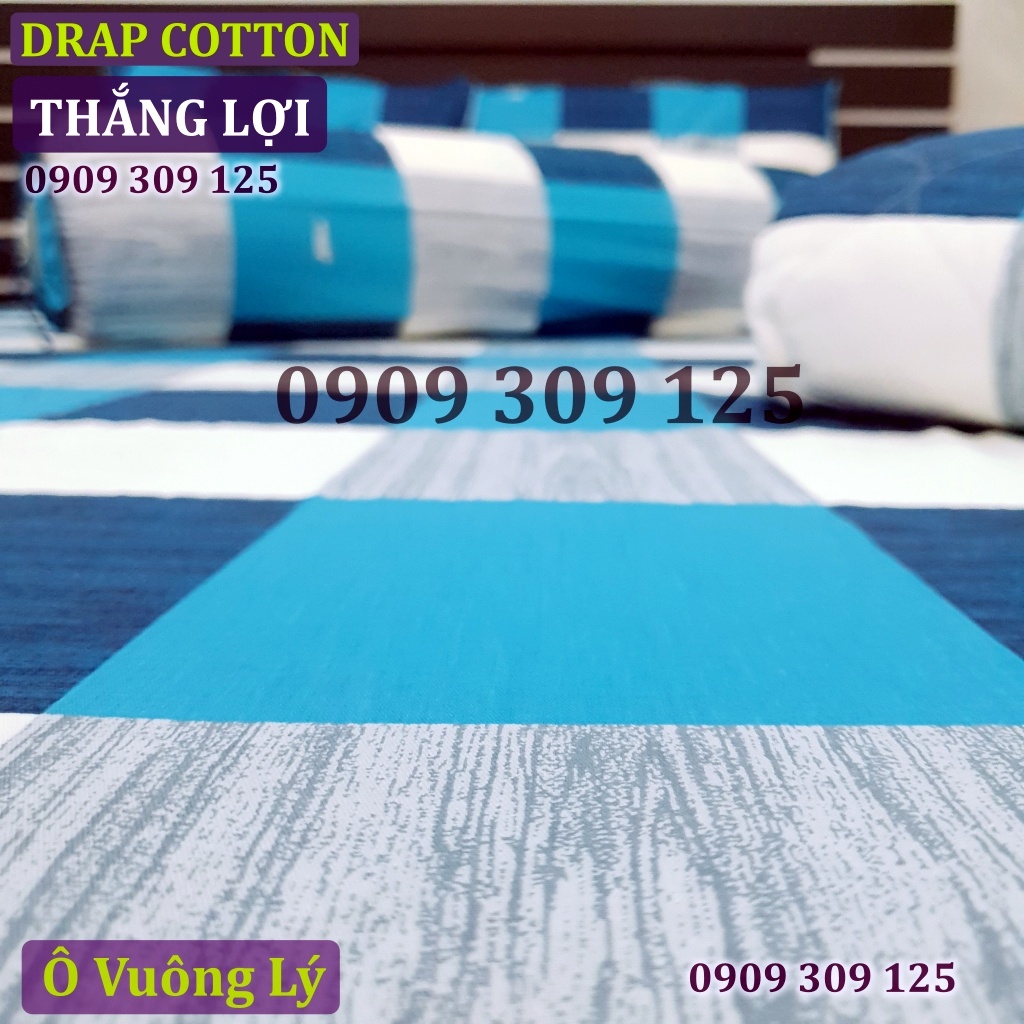 (ảnh thật) bộ drap cotton Thắng Lợi Ô VUÔNG LÝ chính hãng