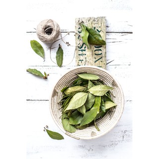[Kèm Công Thức] Lá Nguyệt Quế Khô 10gr