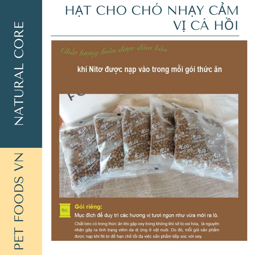 Hạt cho chó nhạy cảm NATURAL CORE DOG 1kg vị Cá Hồi