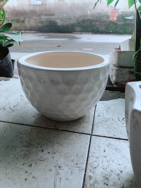 Chậu Trồng Cây
