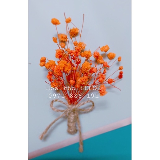 BÓ HOA khô baby mini - thiệp cưới vintage - Hoa BABY khô - bình hoa trang trí - decor- bình hoa - hoa khô trang trí