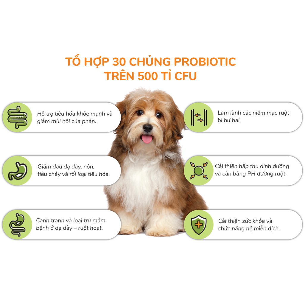 Sản phẩm cho chó Pet Bio - Cứu tinh cho hệ tiêu hóa - GFB Pharma