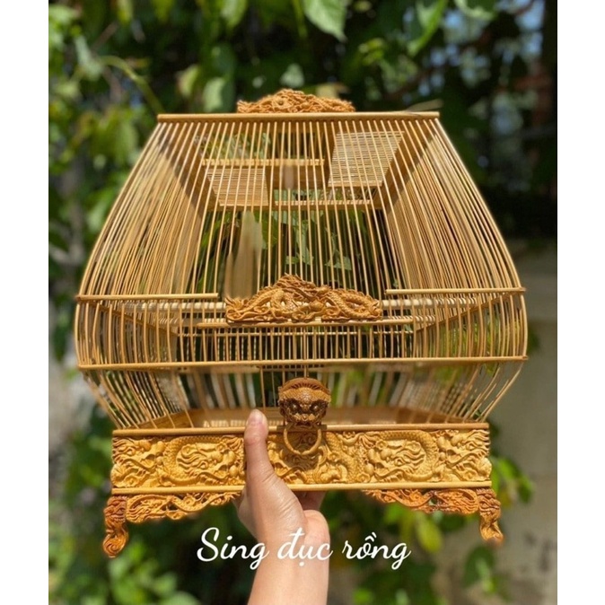 Các mẫu lồng sing tre già cực kỳ đẹp giá rẻ