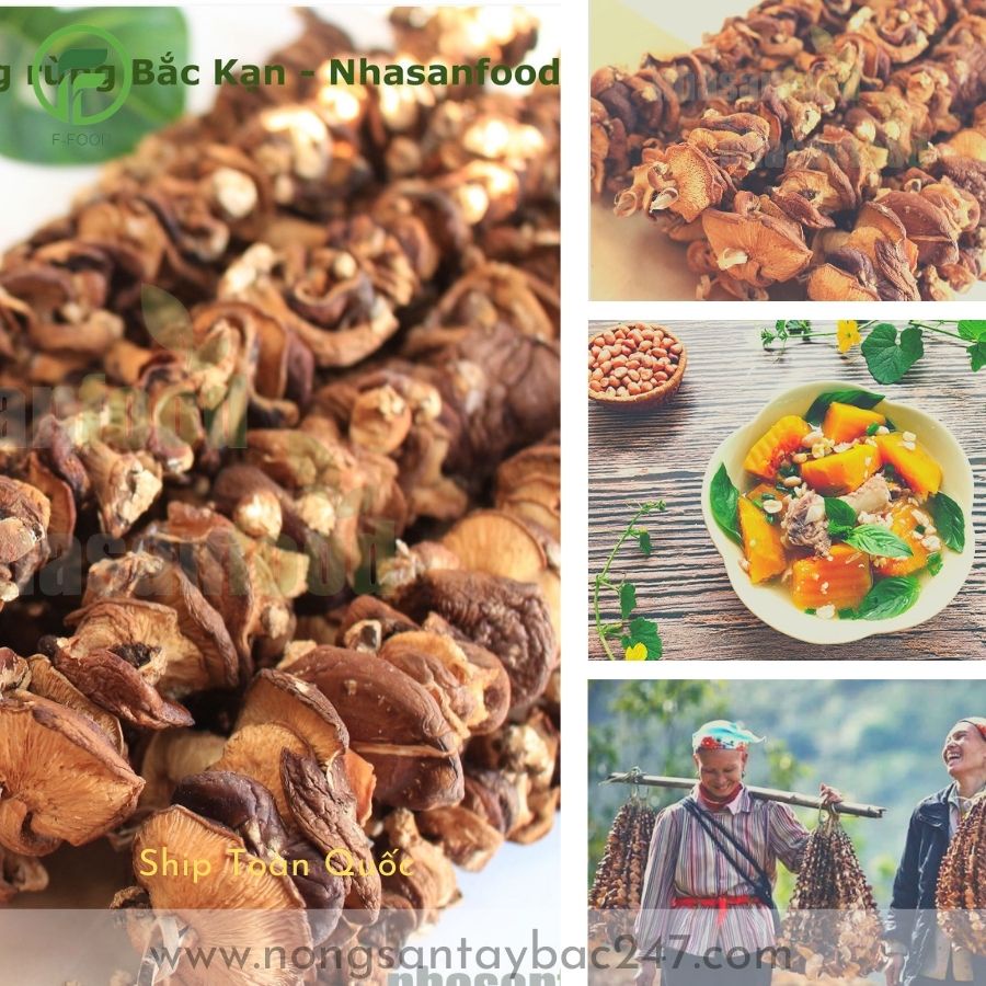 Nấm Hương Rừng Tây Bắc Hàng Loại 1 - Nấm Hương Khô Sapa 500Gram
