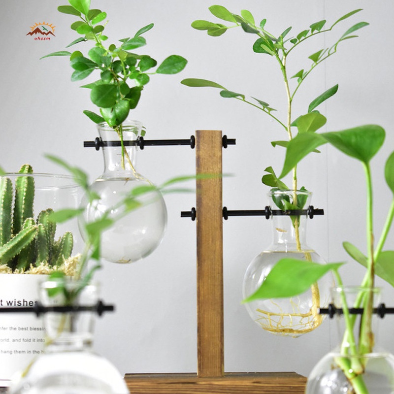 Bình trồng cây thủy sinh bằng thủy tinh có giá đỡ bằng gỗ để bàn trang trí cho văn phòng
