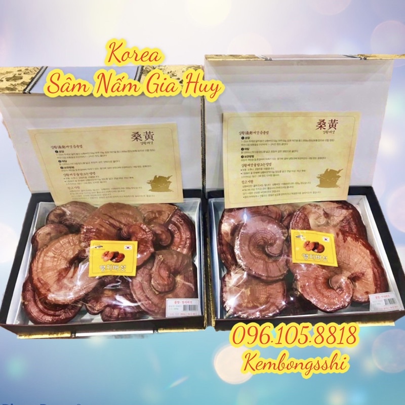 [HÀNG MỚI VỀ] Nấm Linh Chi Đỏ 6 HÀN QUỐC - HỘP QUÀ BIẾU SANG TRỌNG
