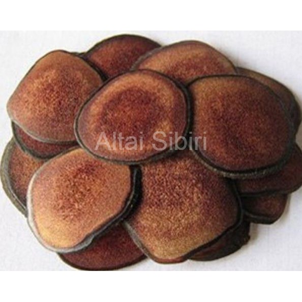Nhung hươu Nga khô thái lát sẵn- Bổ thận- sinh tinh- Chống suy nhược cơ thể | BigBuy360 - bigbuy360.vn