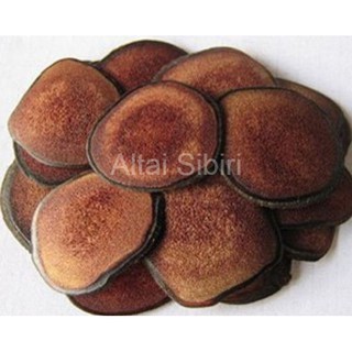 Nhung hươu Nga khô thái lát sẵn- Bổ thận- sinh tinh- Chống suy nhược cơ thể