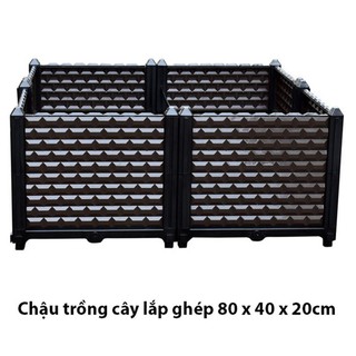 chậu trồng cây lắp ghép