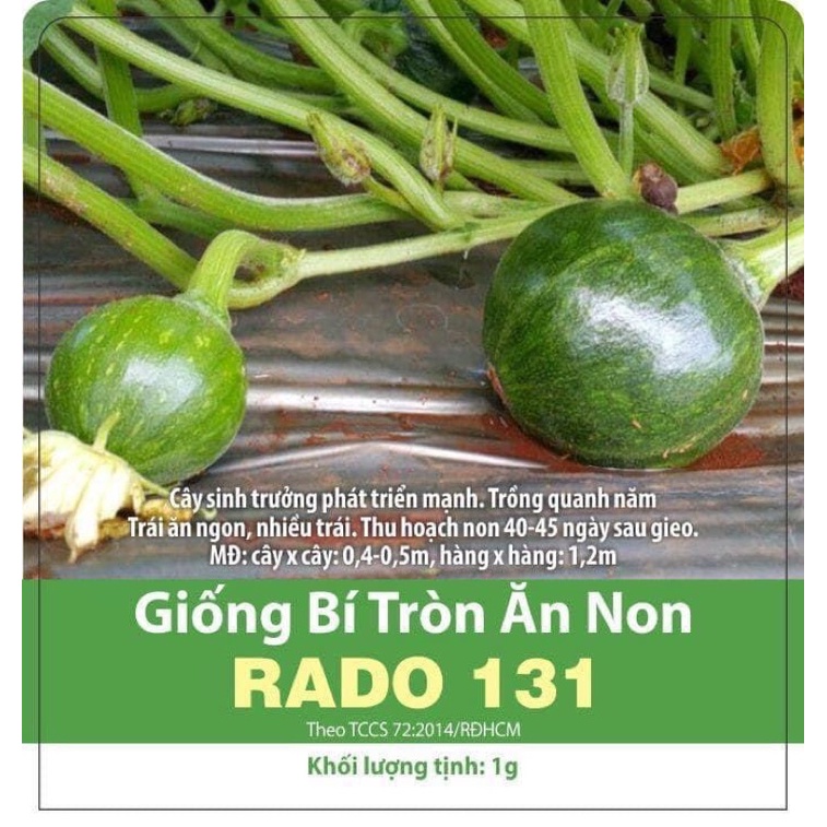 Hạt Giống Bí Ăn Non 131