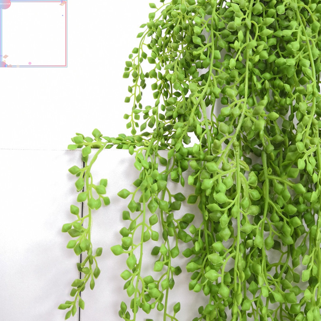 Chậu cây cảnh bằng nhựa trang trí nhà cửa