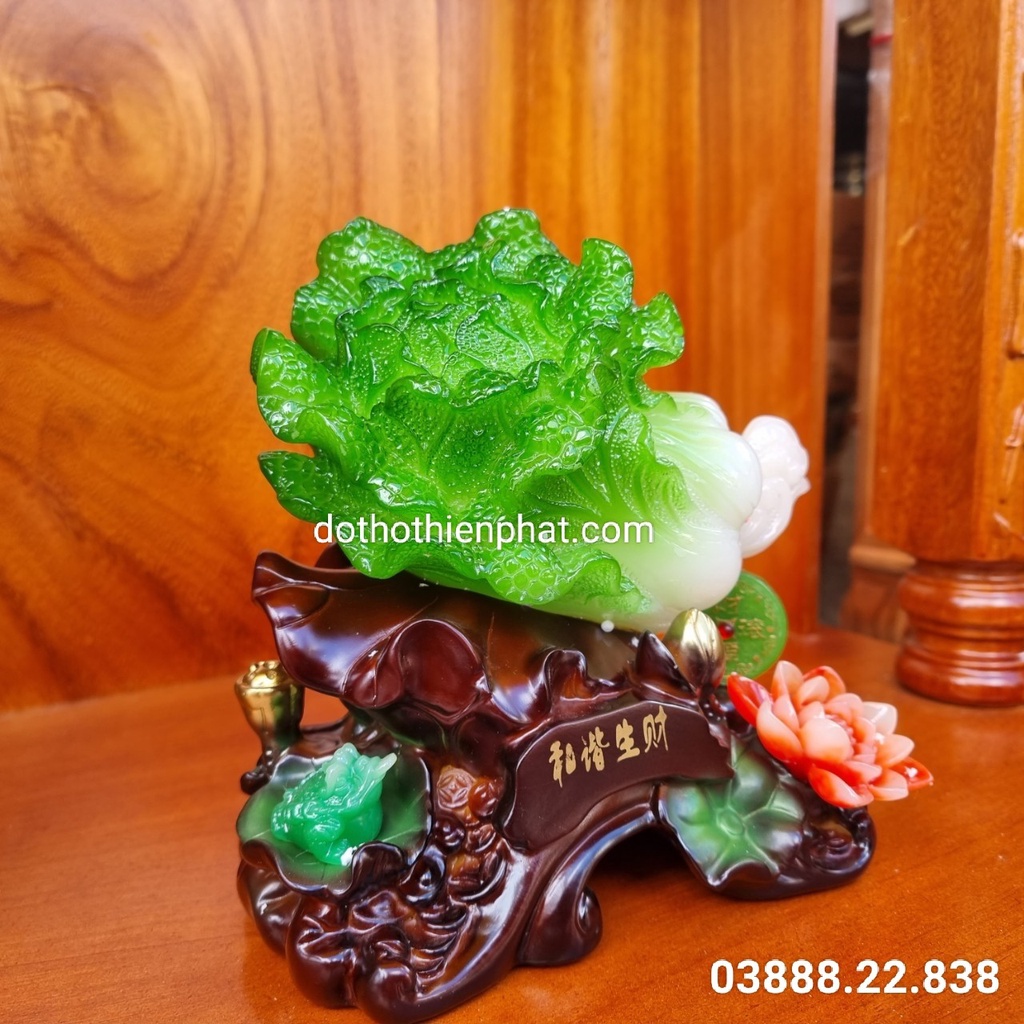 Bắp cải phong thủy chiêu tài chiêu lộc