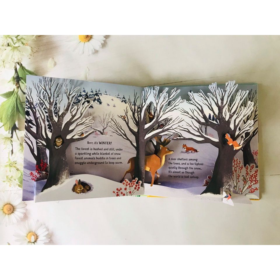 Sách Tiếng Anh Usborne lật mở - Pop up Seasons