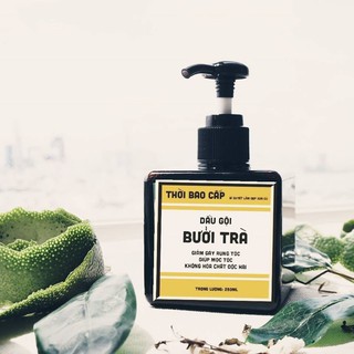 Dầu gội thảo mộc Bưởi Trà
