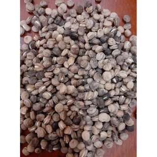 Củ Nhân Sâm Giống Hàn Quốc