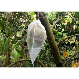 TÚI BỌC TRÁI CÂY  50 TÚI CÓ DÂY RÚT 16x20CM