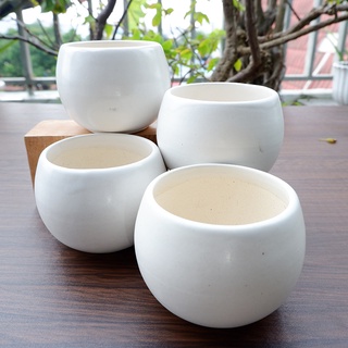 chậu sứ mini hình hạt dẻ