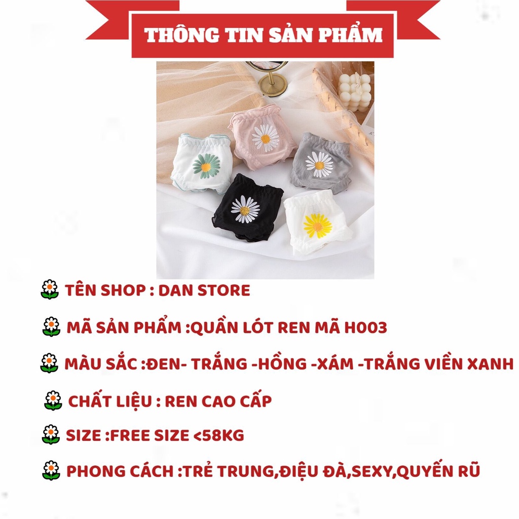 Quần Lót Nữ - Quần Lót Ren Nữ sexy viền lưới phối hoa cúc điệu đà gợi cảm DAN STORE MÃ H003