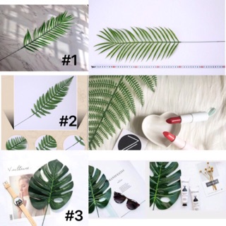 Phụ kiện chụp ảnh sản phẩm- Lá rùa /lá dương xỉ to 34cm lên view kinh điển nha