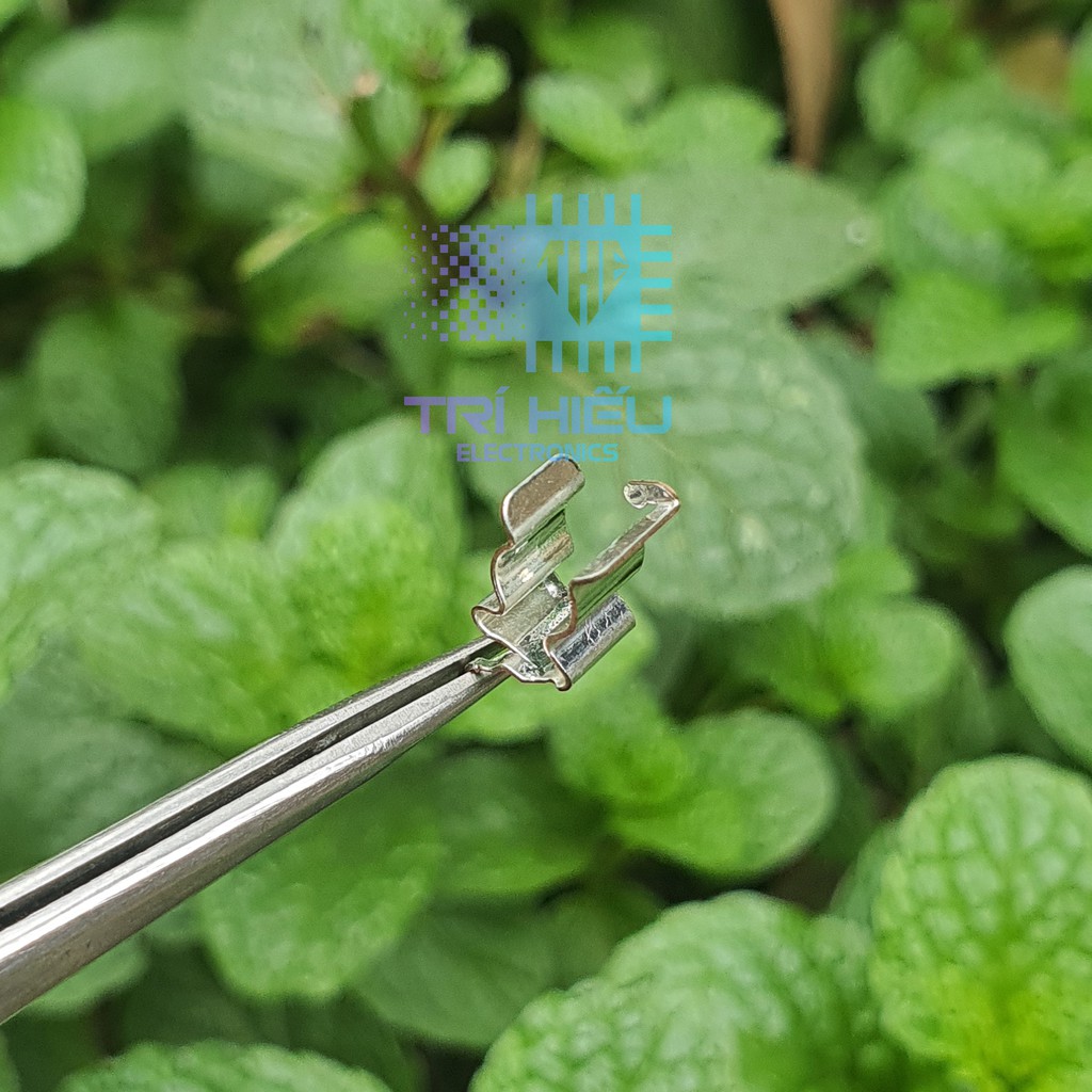Chân Đế Cầu Chì 5x20mm