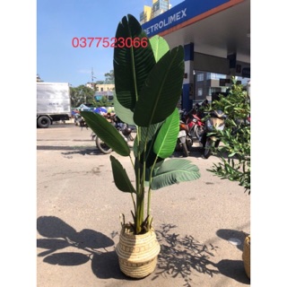 Giỏ cói đa năng đựng đồ, trồng cây xuất khẩu