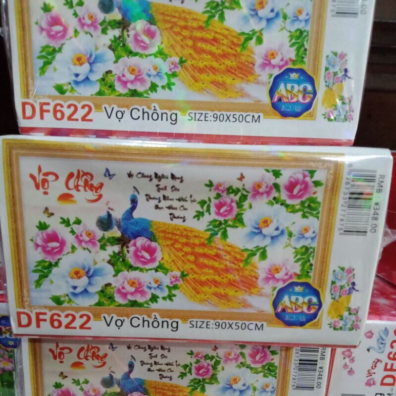 Tranh đính đá Vợ Chồng Df622 (90x50) chưa đính