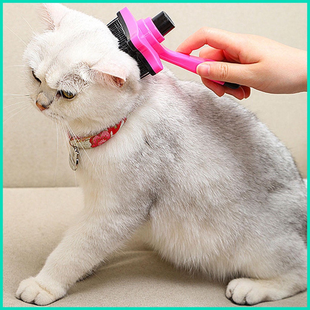Bàn chải lông cún/ mèo tự làm sạch tiện dụng