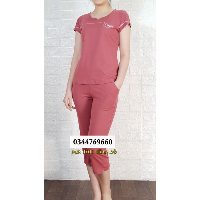 Đồ Bộ Nữ Mùa Hè🔥FREE SHIP🔥Đồ Bộ Nữ Cộc Tay Chất Vải Hút Ẩm Cao - Thấm Hút Mồ Hôi Rất Tốt CODE 11 | BigBuy360 - bigbuy360.vn