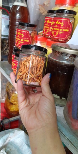 Đông trùng hạ thảo khô lọ 10g giá dùng thử