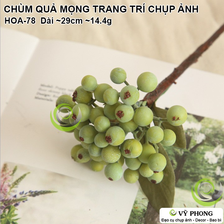 CHÙM QUẢ MỌNG TRANG TRÍ ĐÁM CƯỚI ĐẠO CỤ CHỤP ẢNH SẢN PHẨM INS HOA-78