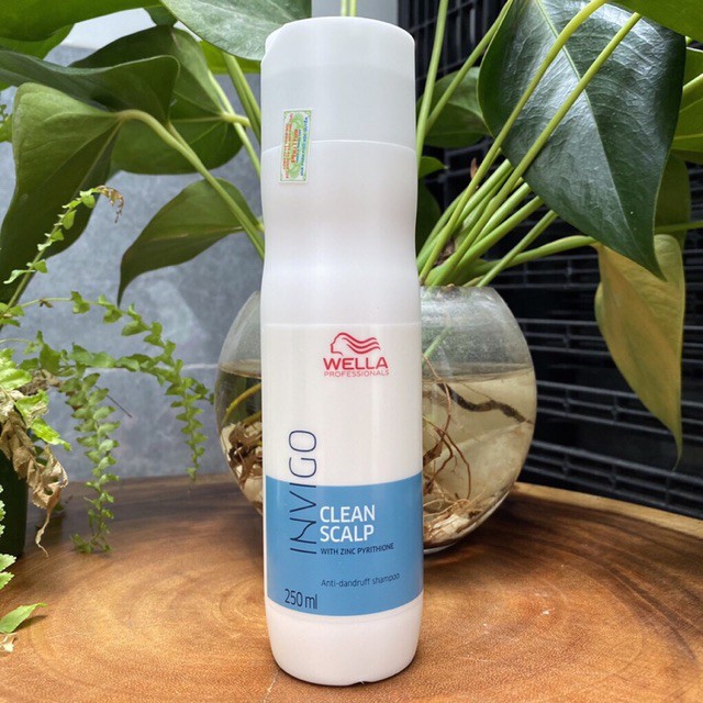 Dầu gội hạn chế gàu Wella INVIGO Clean Scalp Anti Dandruff Shampoo 250ml ( New )