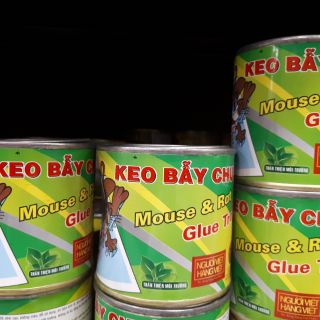 Keo bẫy chuột hiệu quả không ngờ