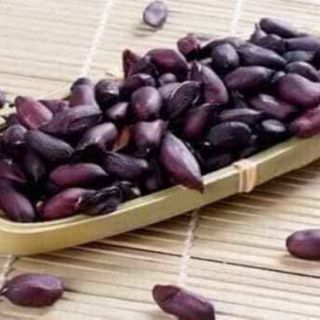 Hạt giống lạc đen
