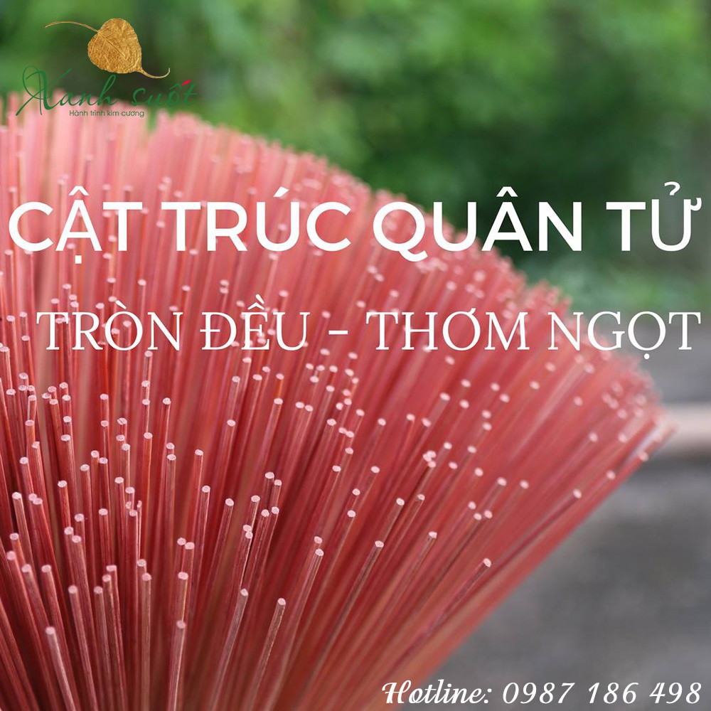 [Hương Hồng Hạc] Hương Vetiver Thanh Nhẹ- Không Đậu Tàn, Không Hóa Chất, An Toàn, Thơm Mùi Gỗ- Vetiver Incen [Xanh Suốt]