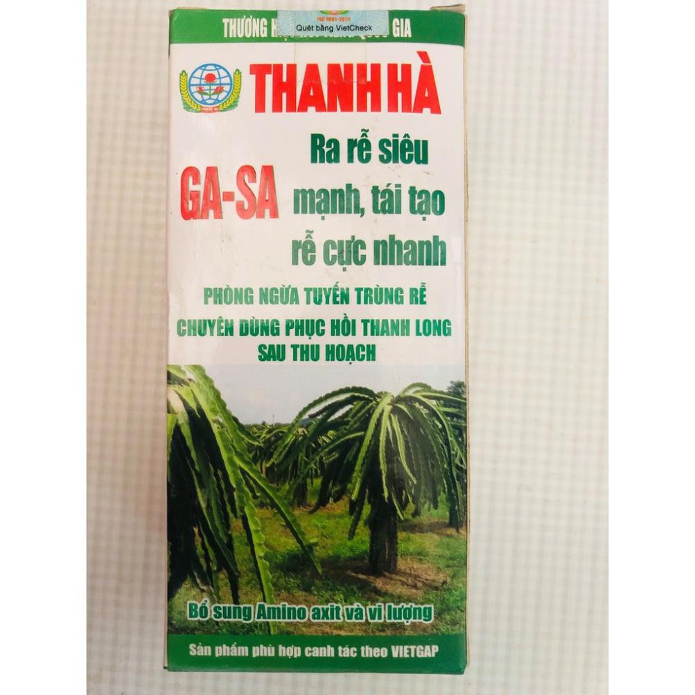 GA-SA THANH HÀ - TRỊ TUYẾN TRÙNG – PHỤC HỒI THANH LONG SAU THU HOẠCH